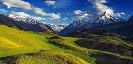 Plakat azja pejzaż trawa widok alpy