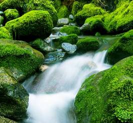 Obraz na płótnie piękny pejzaż wodospad roślina natura