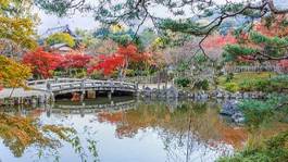 Plakat japoński park japonia natura