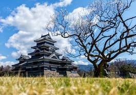 Plakat drzewa wieża piękny japonia stary