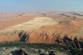 Naklejka drzewa pustynia wzór afryka wydma