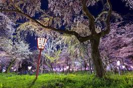 Obraz na płótnie japoński azja noc widok azjatycki
