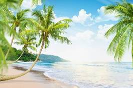 Plakat plaża z palmami