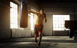 Fotoroleta bokser sport aleja