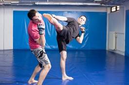 Plakat ćwiczenie zdrowy sztuki walki mężczyzna