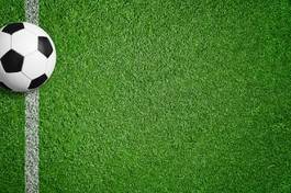 Naklejka pole trawa piłka nożna brazylia piłka