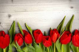 Plakat lato świeży tulipan piękny bukiet