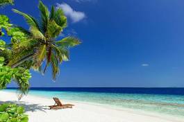 Plakat tropikalna plaża, palma i leżak
