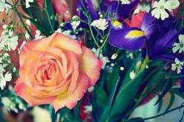 Plakat kwitnący miłość kwiat spirala roślina