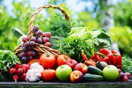 Plakat warzywo zdrowy witamina ogród