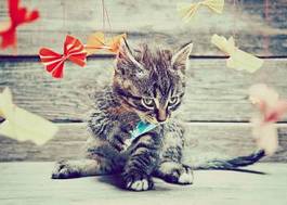 Naklejka kociak bawi się papierowymi wstążeczkami