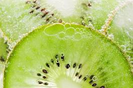 Plakat tropikalny zdrowie owoc natura