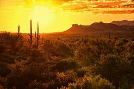 Obraz na płótnie pustynia pejzaż amerykański