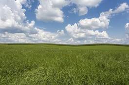 Naklejka rolnictwo lato pole krajobraz niebo