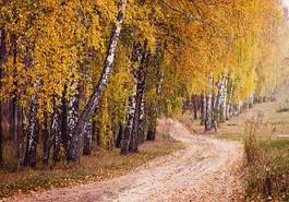 Plakat droga krzew jesień wiejski spokojny