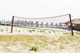Fotoroleta sport słońce drzewa plaża siatkówka