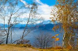 Fotoroleta brzoza widok góra jesień pejzaż
