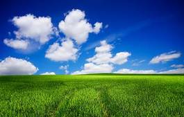 Plakat natura łąka niebo świeży wzgórze