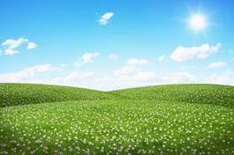 Naklejka piękny trawa natura rolnictwo świat