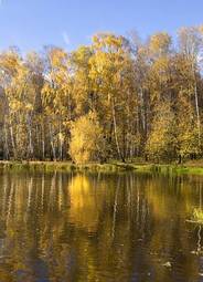 Fotoroleta las jesień natura