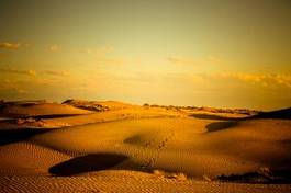 Obraz na płótnie słońce niebo dziki pustynia łąka