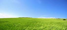 Fotoroleta słońce krajobraz wzgórze pastwisko