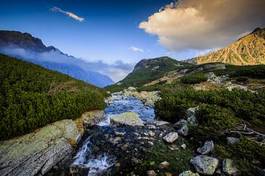 Naklejka dolina krajobraz tatry
