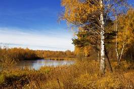 Fotoroleta woda piękny las jesień