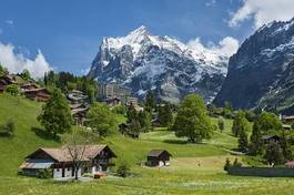 Plakat panorama natura szwajcaria