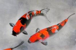 Plakat azjatycki obraz sztuka ryba japoński