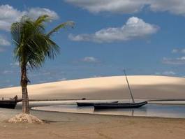 Obraz na płótnie krajobraz plaża palma wydma