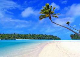 Plakat morze tropikalny drzewa wyspa słońce