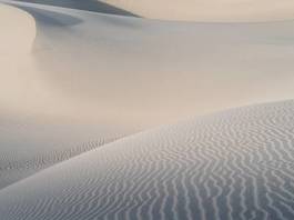 Obraz na płótnie pejzaż safari pustynia wydma