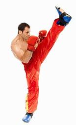 Plakat mężczyzna sztuki walki ćwiczenie przystojny