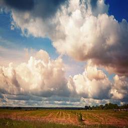 Obraz na płótnie pejzaż lato niebo trawa pole