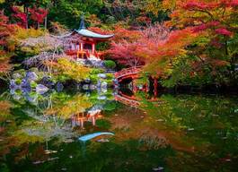 Plakat japonia spokojny tokio wiśnia