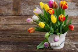 Plakat tulipan fiołek świeży