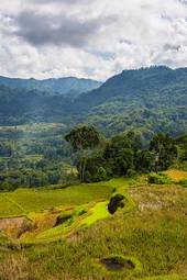 Naklejka niebo natura panoramiczny wzgórze indonezja