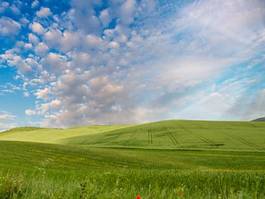 Obraz na płótnie pole toskania trawa łąka natura
