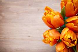 Naklejka tulipan natura kwiat bukiet wzór