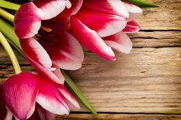 Naklejka roślina kwiat bukiet tulipan