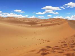 Obraz na płótnie arabski pustynia fala