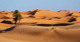 Obraz na płótnie pustynia natura egipt spokojny wzgórze