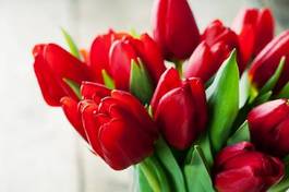 Naklejka tulipan bukiet natura