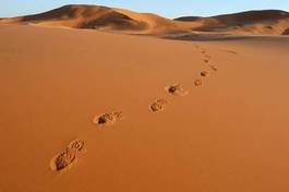 Plakat arabian wydma pustynia afryka wzór