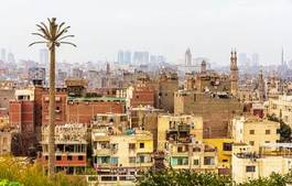 Naklejka drzewa widok antyczny śródmieście egipt