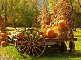 Obraz na płótnie żniwa wiejski wieś jesień
