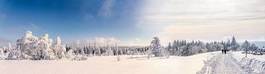 Plakat krajobraz panorama narty droga śnieg