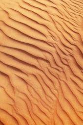 Fotoroleta wzór safari wydma pustynia pejzaż