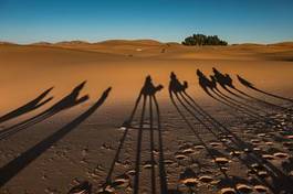 Naklejka pustynia cieniu maroko sahara